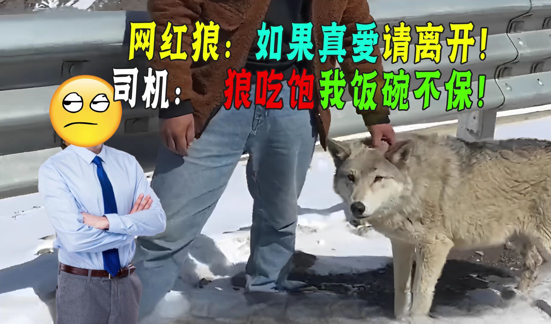 狼图片高清壁纸16张- 抖音, image size:1833x1080