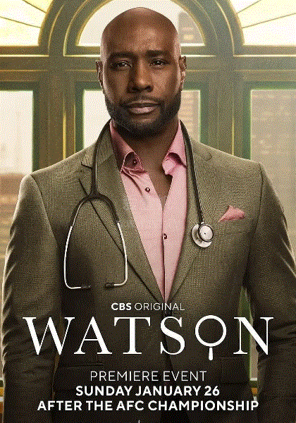 华生第2季-免费在线观看-爱壹帆国际版